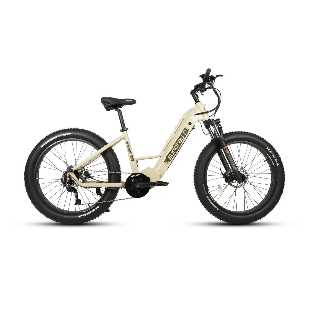 Eunorau 1000W Fat-Hd 2.0 / Hunter X7 Step-Thru Electric Bike 1