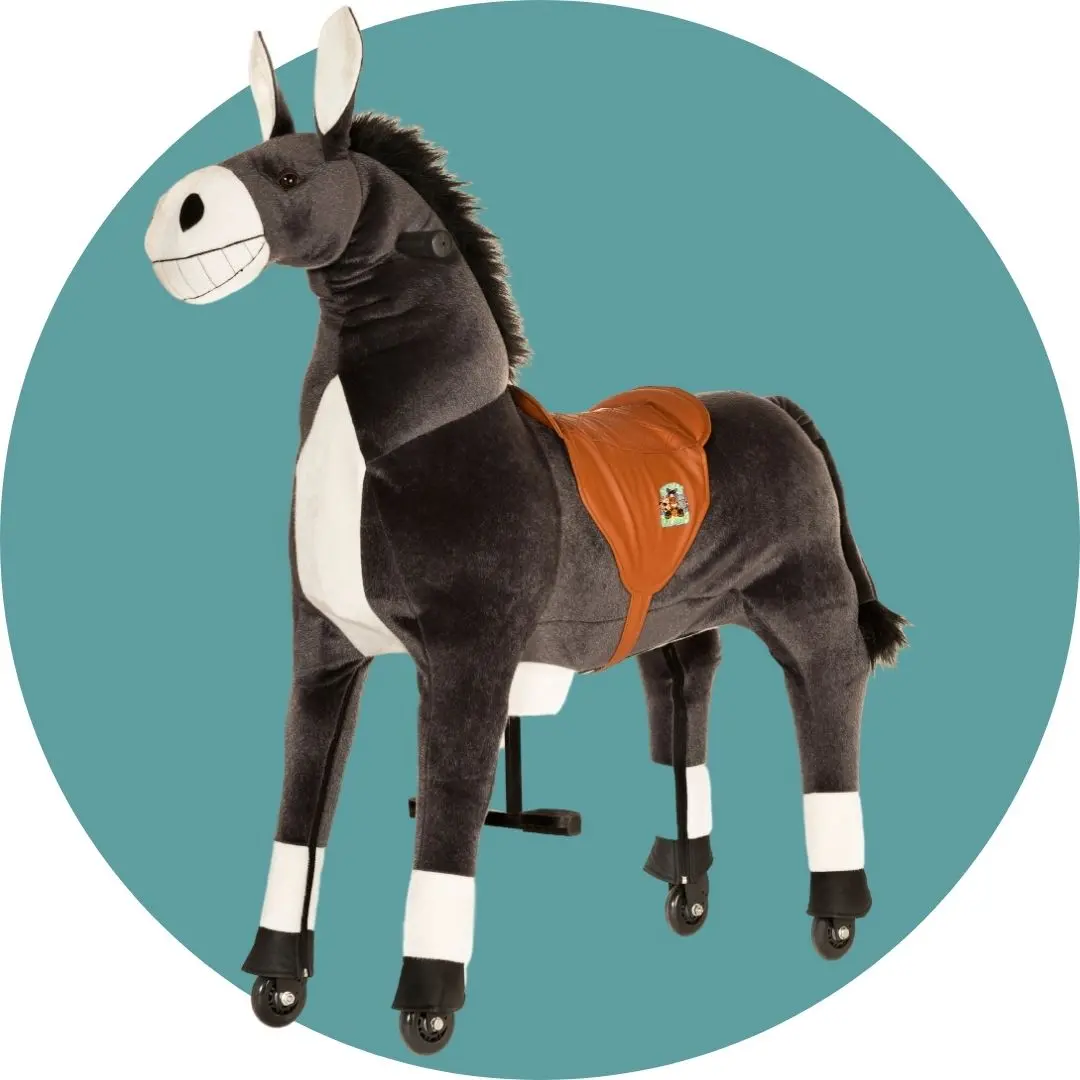 Lenkbares Reittier - Esel Dundy 3