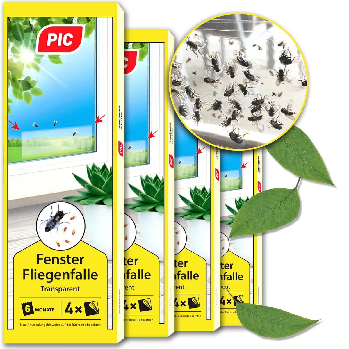 Pic Fenster Fliegenfalle 1