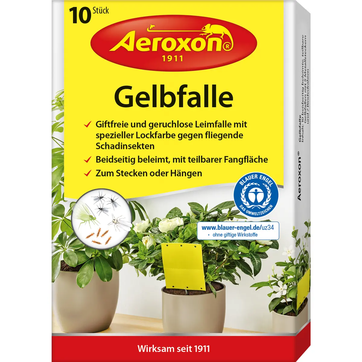 Aeroxon Gelbfalle (Gelbtafel, Gelbsticker) 1
