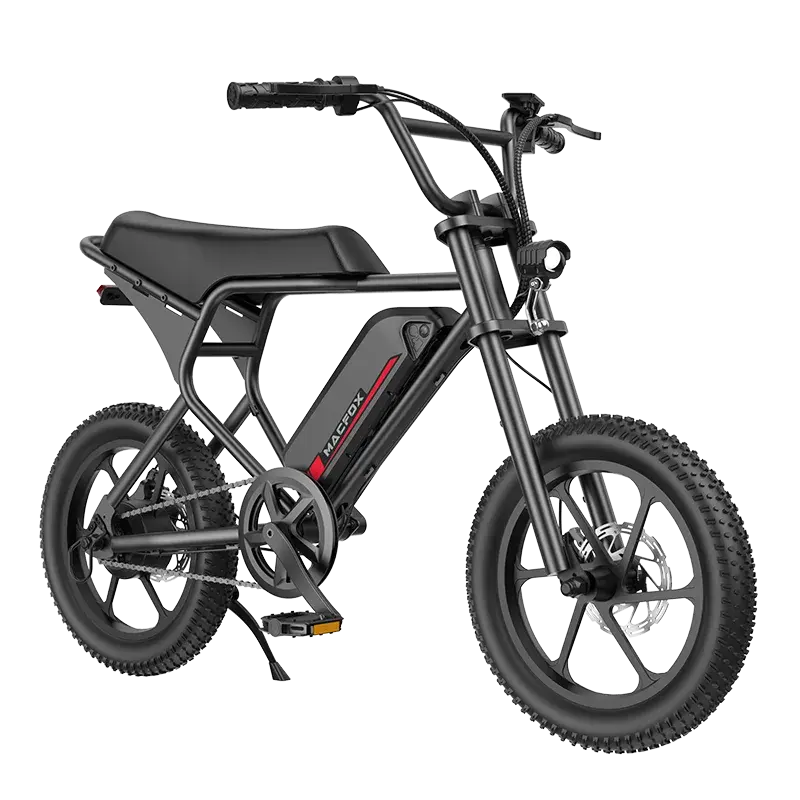 Macfox 250W M19 Teenager Electric Bike 1