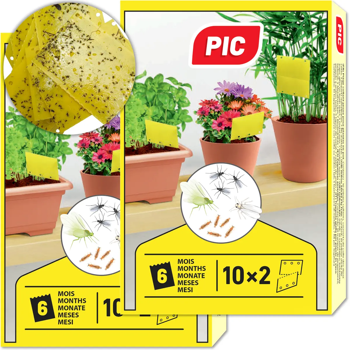 Pic Gelbfalle (Gelbtafel, Gelbsticker) 1