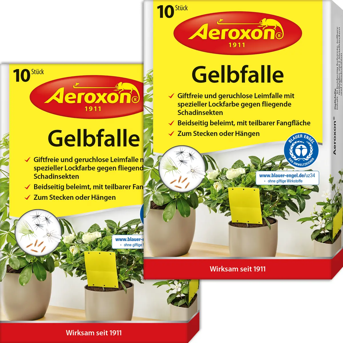 Aeroxon Gelbfalle (Gelbtafel, Gelbsticker) 2