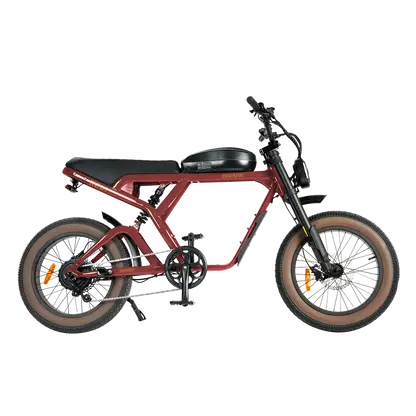 Revi 750W Cougar Pro Electric Bike 1