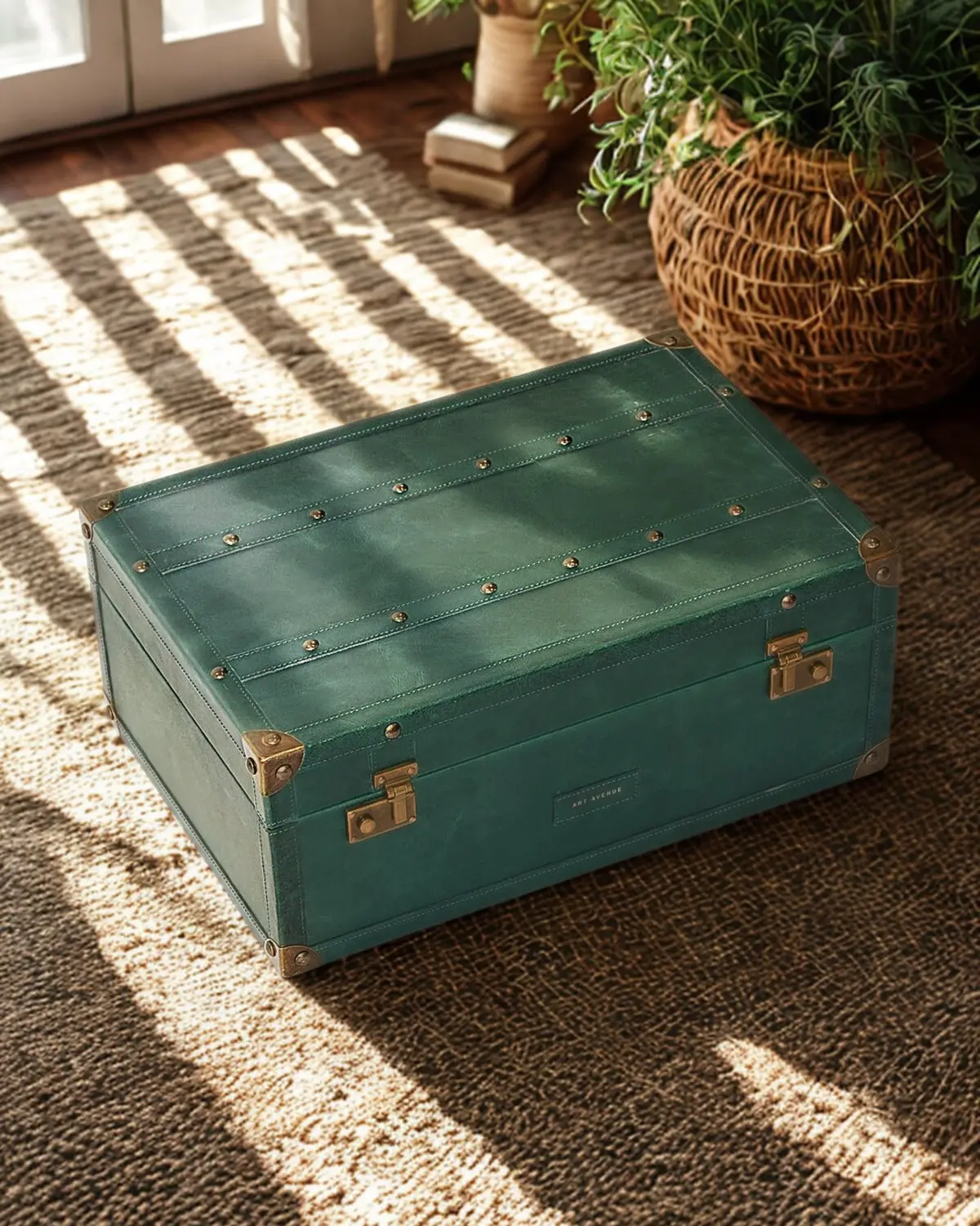 Elegant - Leather Trunk 1