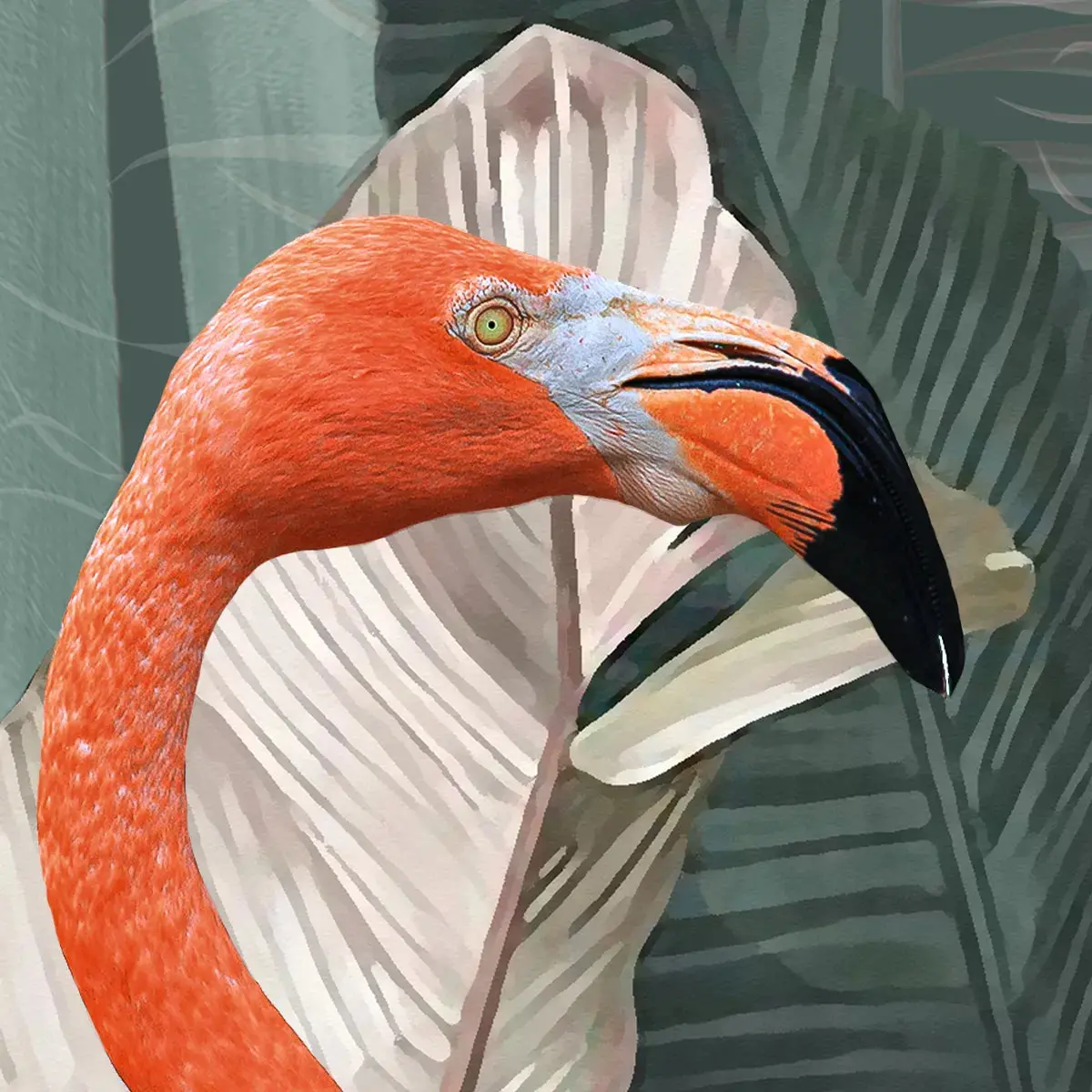 Pink Flamingos In Tropical Jungle Wallpaper For Rooms 4