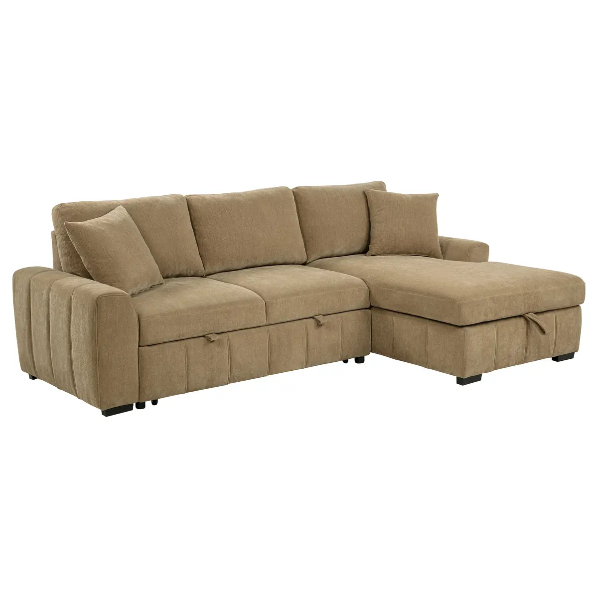 Pastrana Pull-Out Sleeper Sectional Sofa 1