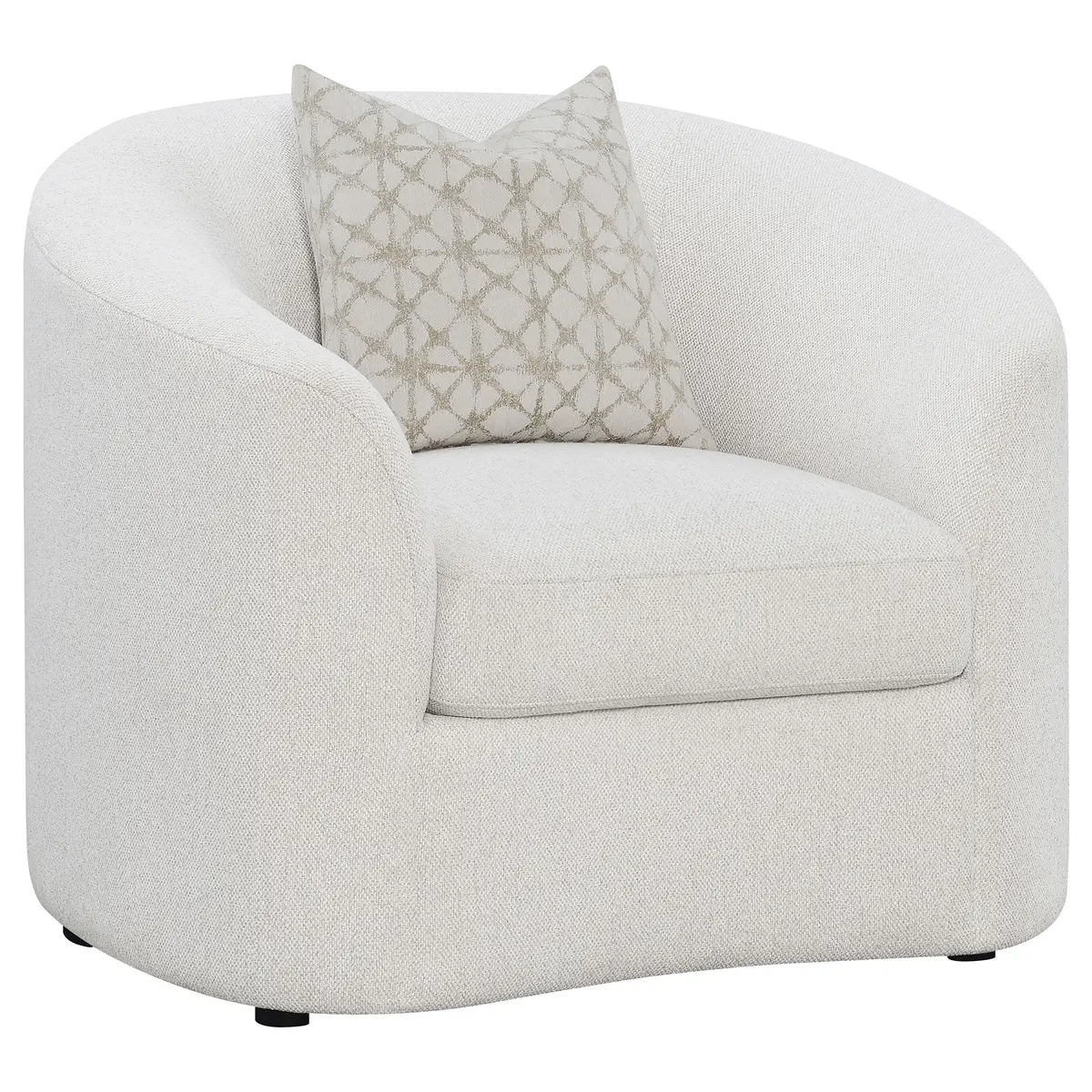 Rainn Accent Chair 1