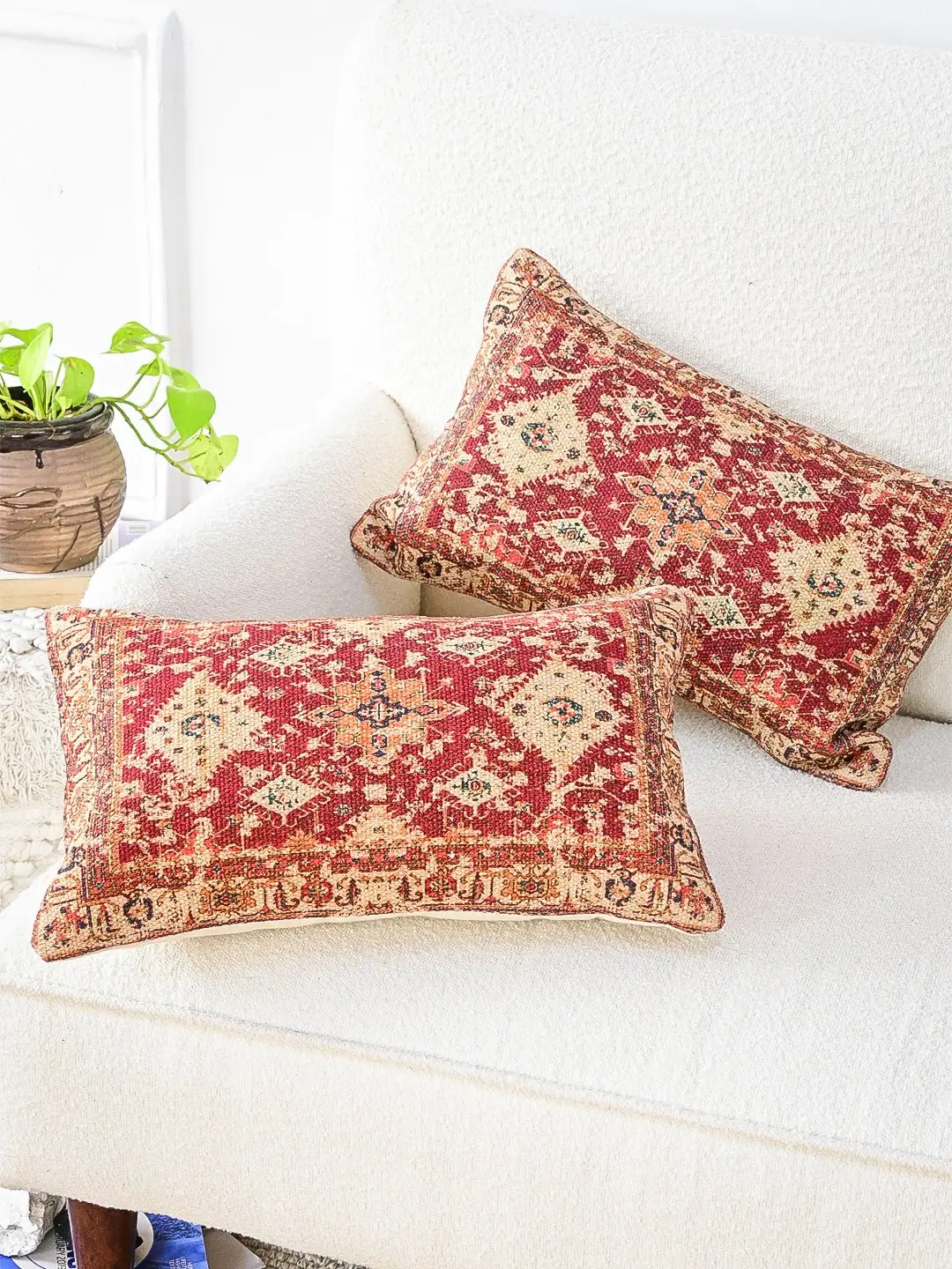 Daucus - Lumbar Cushion Cover 1