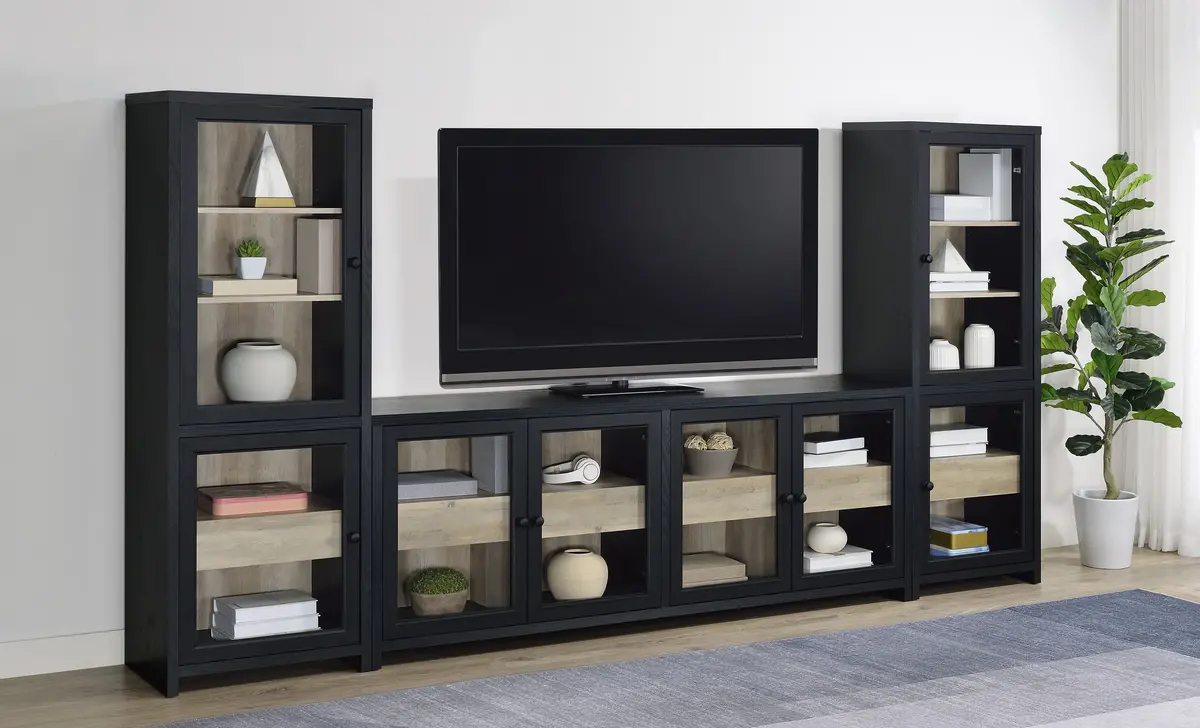 Denison Entertainment Center 1