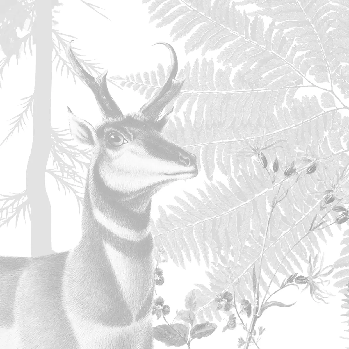 Vintage Forest Theme Wallpaper, Grisaille Style 4