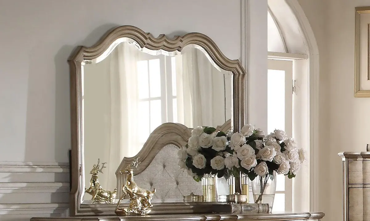 Acme Chelmsford Landscape Mirror In Antique Taupe 26054 1