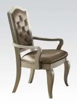 Acme Francesca Arm Chair In Silver/Champagne (Set Of 2) 62083 1