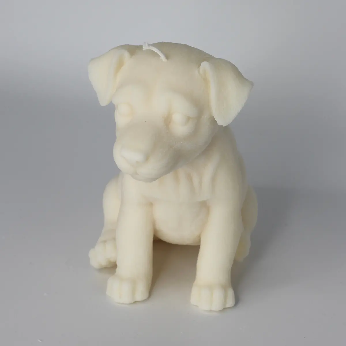 Kerze Hund ; „Doggy“ 1