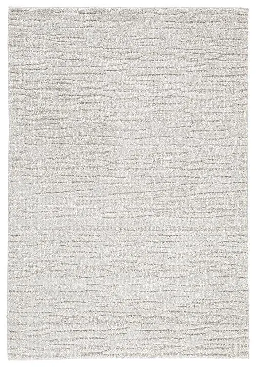 Ivygail 5' X 7' Rug 1