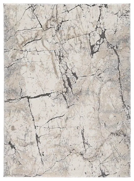 Wyscott 7'10" X 10'3" Rug 1