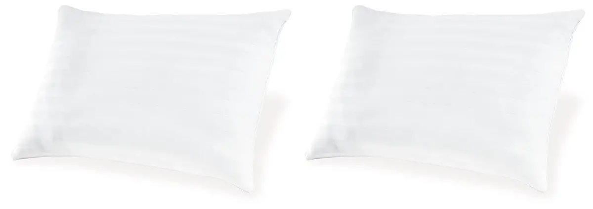 Zephyr 2.0 Pillow (Set Of 2)(9/Case) 1