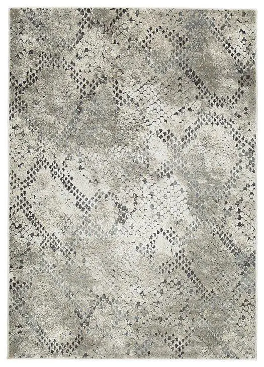 Poincilana 5' X 7' Rug 1