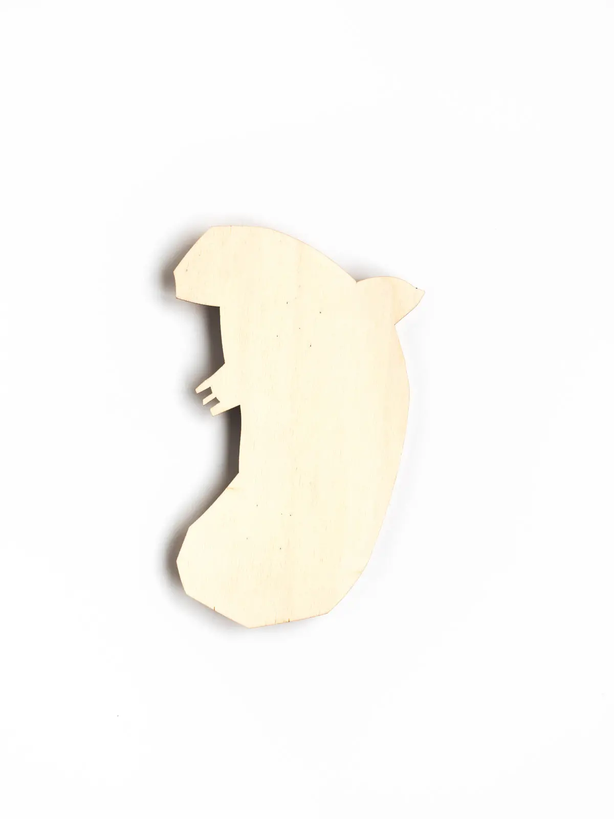 Birdie 5 "Natur" 1