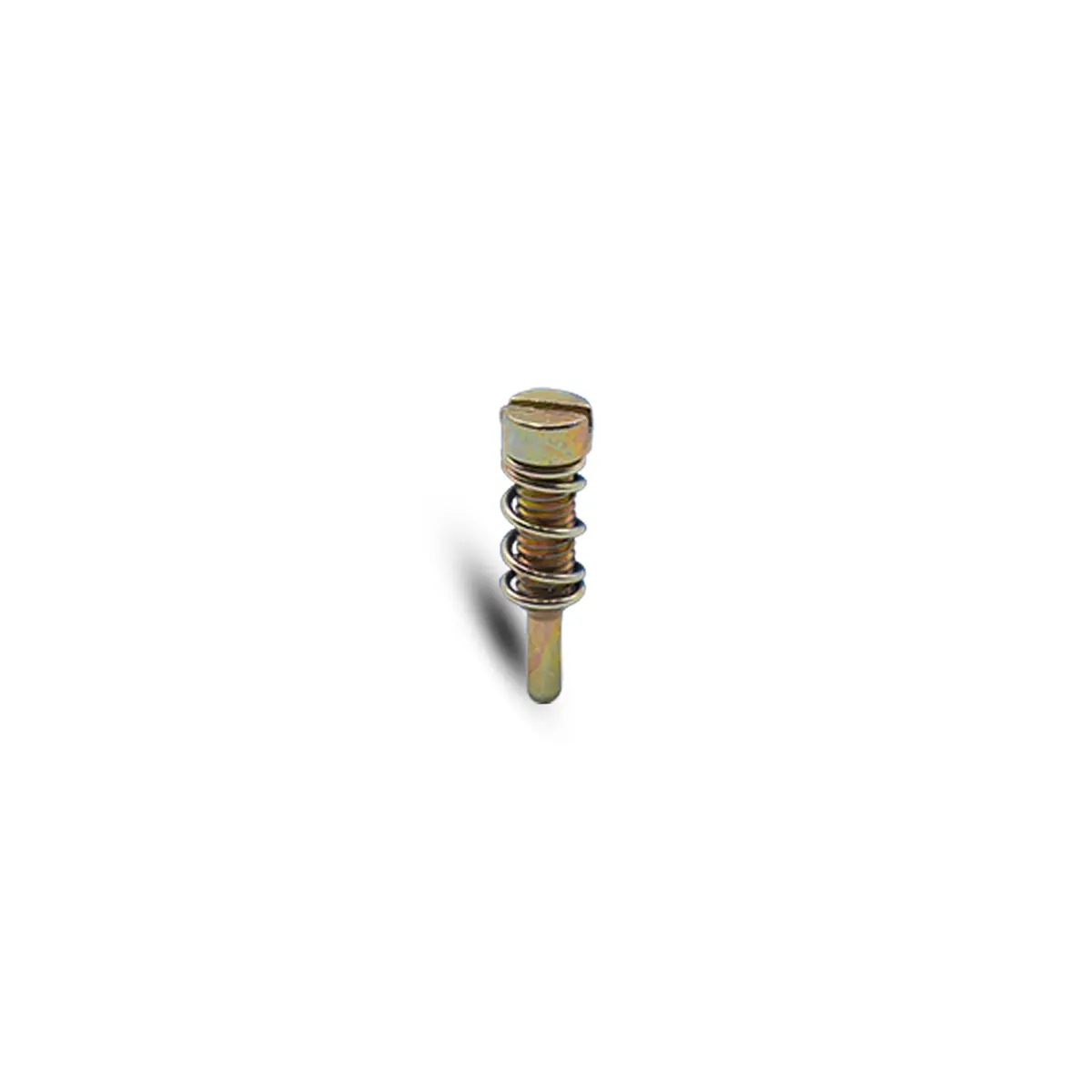 Carburetor Idle Adjustment Screw W/ Spring 1