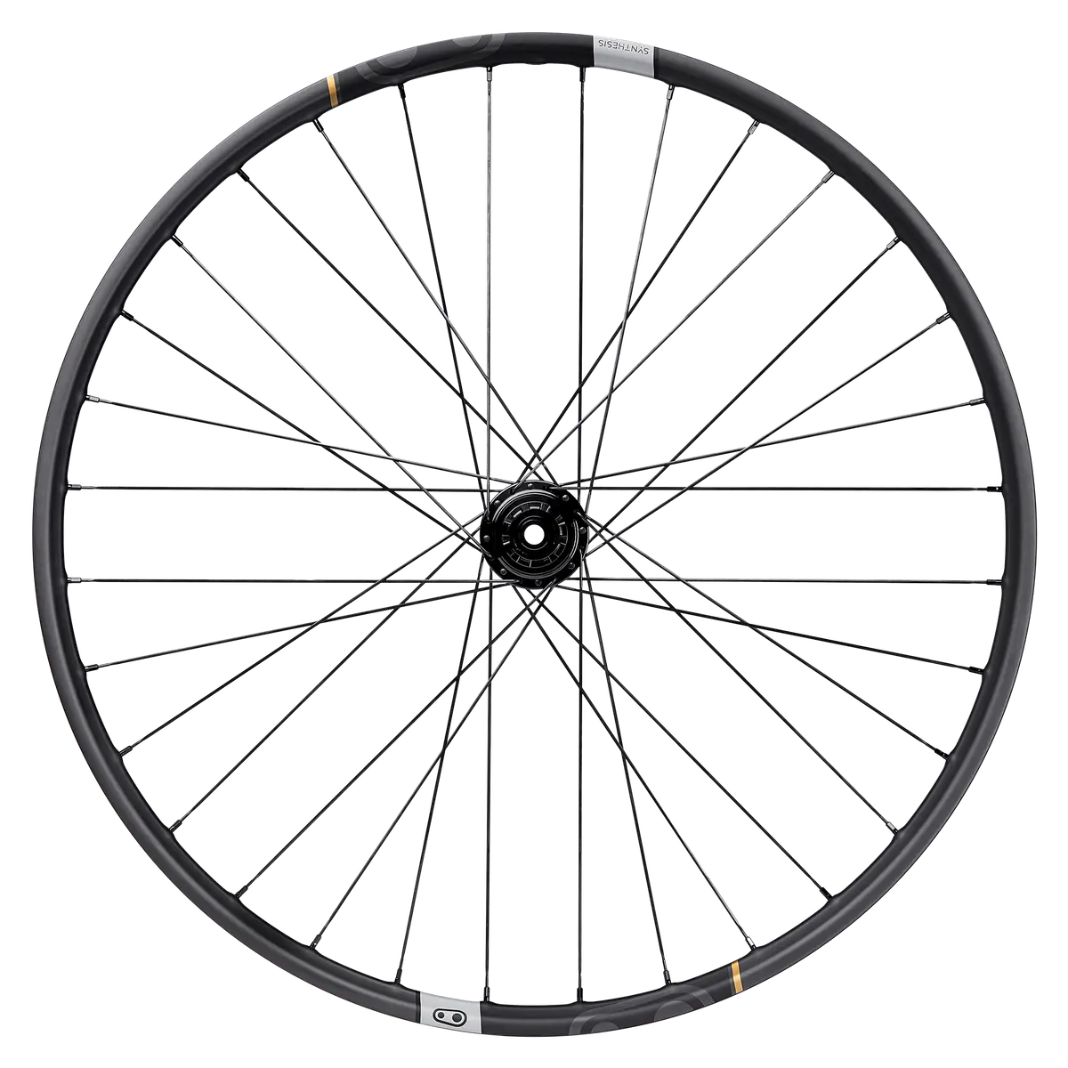 Synthesis E-Mtb Carbon Ratchet Rear Wheel 1