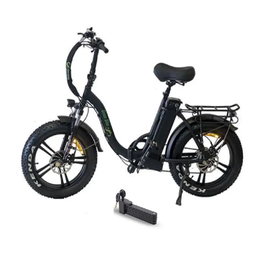 Green Bike 750W 20" Gb 750 Low Step Fat Tire Folding Electric Bike 1