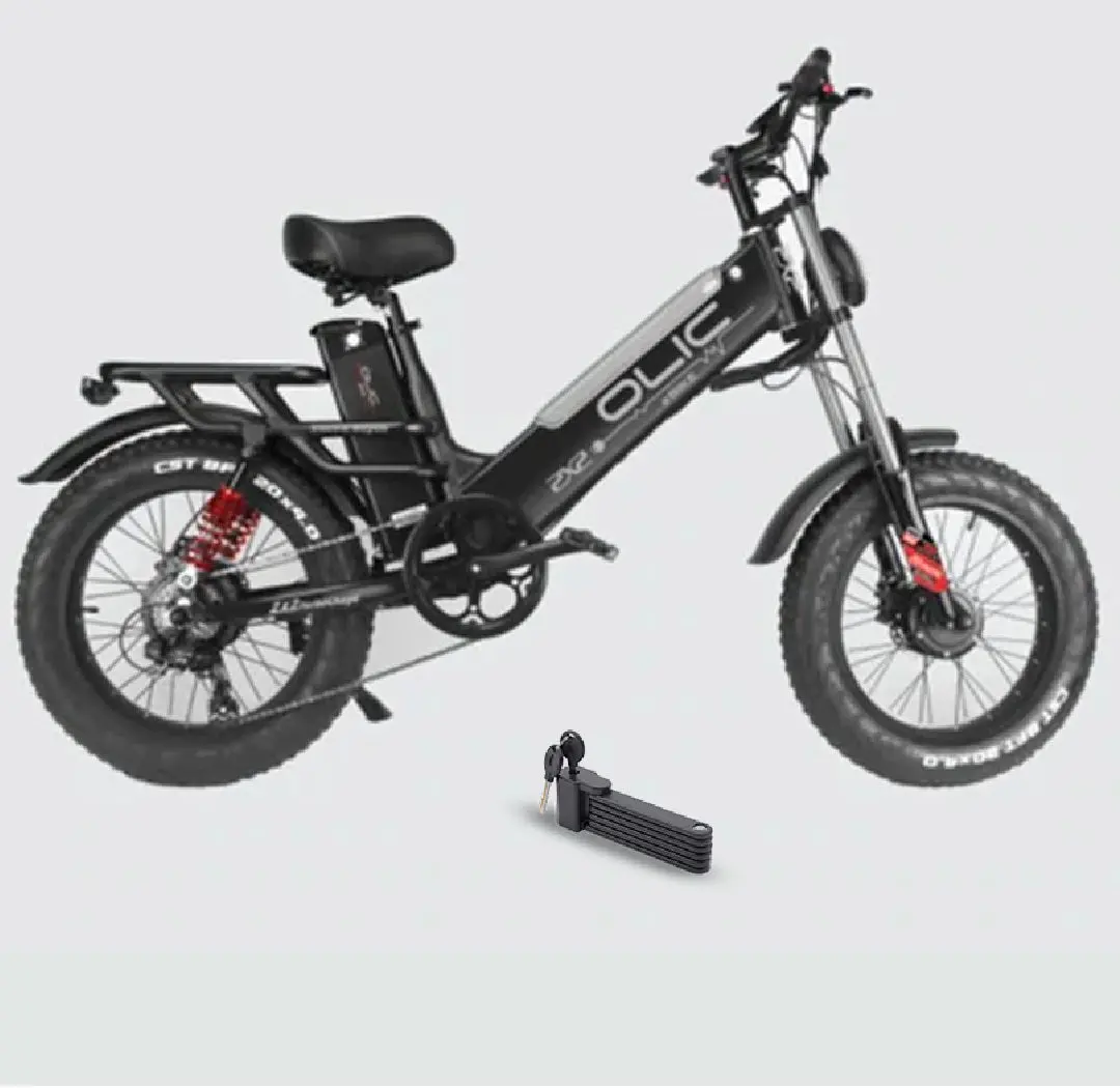 Olic 750W Turbocharge Electric Bike 1