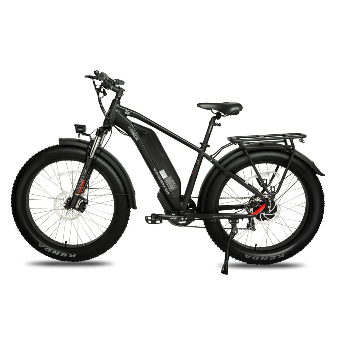 Dwmeigi 750W Pegasus Electric Bike 1
