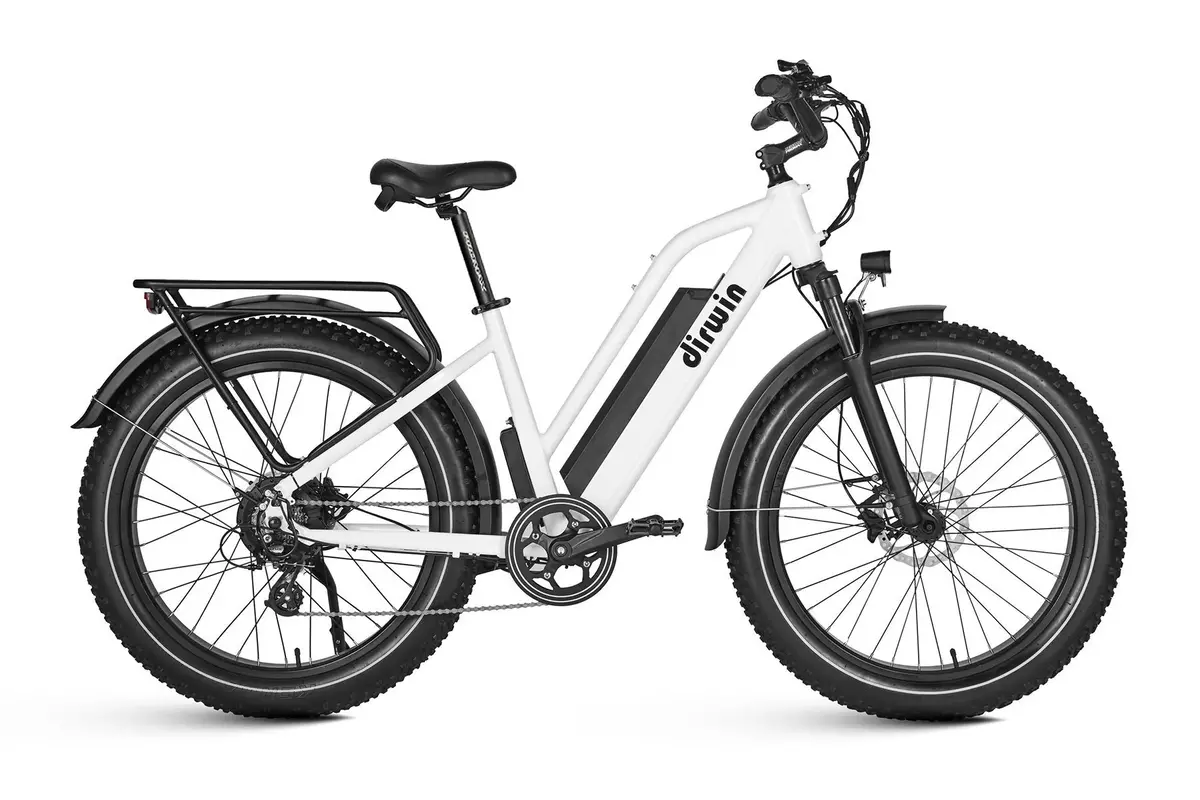 Dirwin 750W Seeker Step-Thru Fat Tire Electric Bike 1
