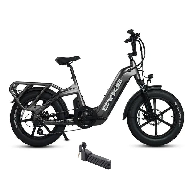 E-Joe 750W Collie Cargo Fat Tire Step-Thru Electric Bike 1