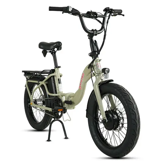 E-Joe 500W Young Electric E-Urban Pro Lighweight Folding Fat Tire Step-Thru Electric Bike 3