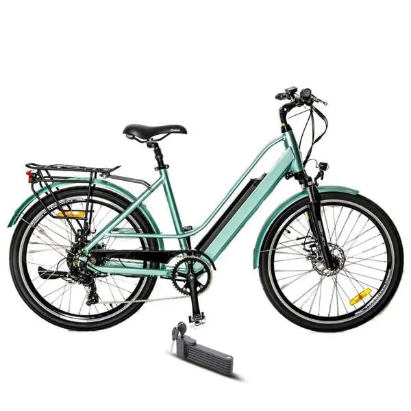 Eunorau 350W E-Torque Step-Thru Electric Bike 1