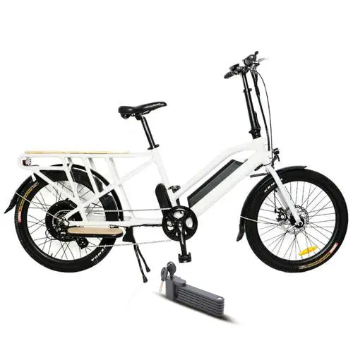 Eunorau 750W 24" Max Cargo 2.0 Electric Bike 1