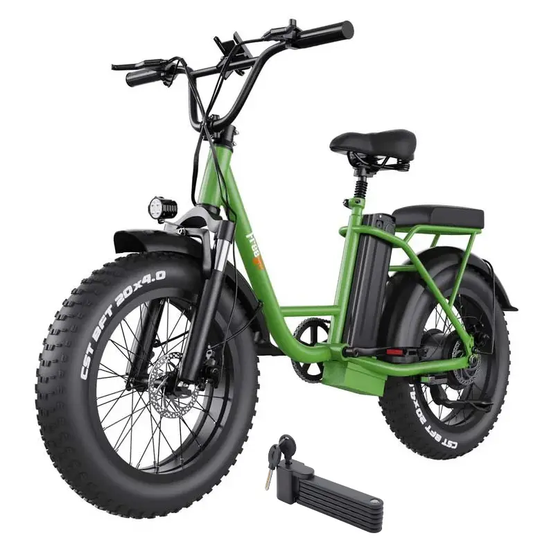 Freego 500W Fb-20X Step-Thru Fat Tire Cargo Electric Bike 1