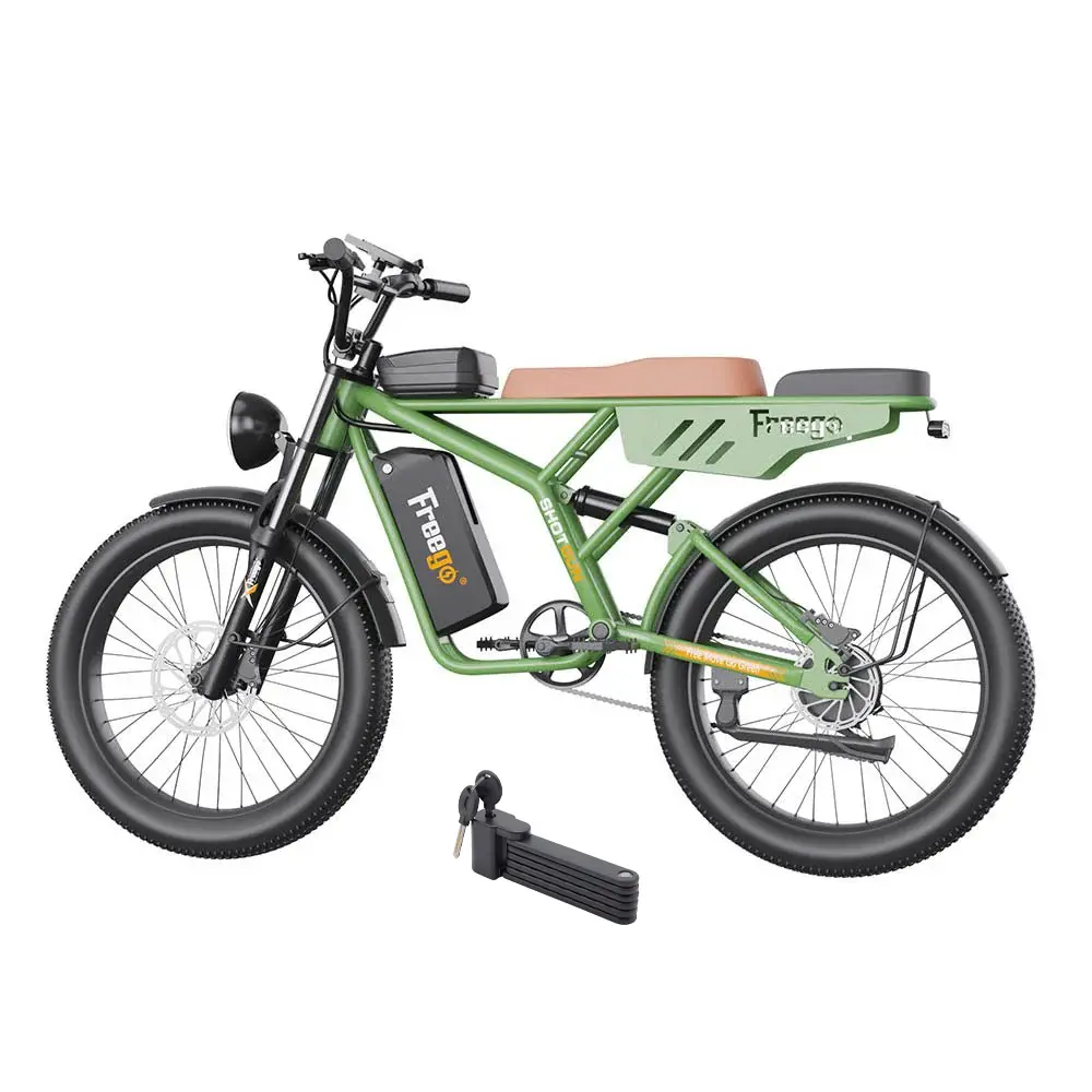 Freego 500W Shotgun Neo F4 Cargo Mountain Electric Bike 1