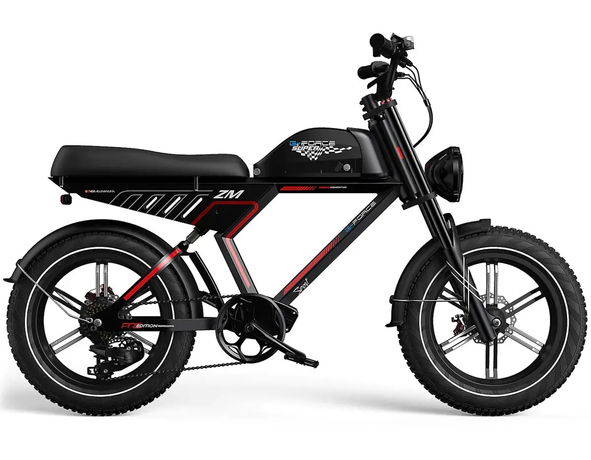 G-Force 750W Zm Fat Tire Electric Bike 1