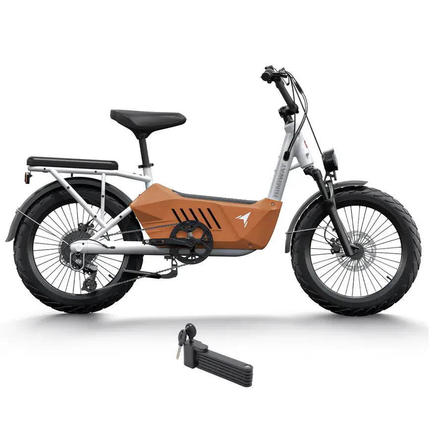 Himiway 750W 48V C3 Cargo Electric Bike 1