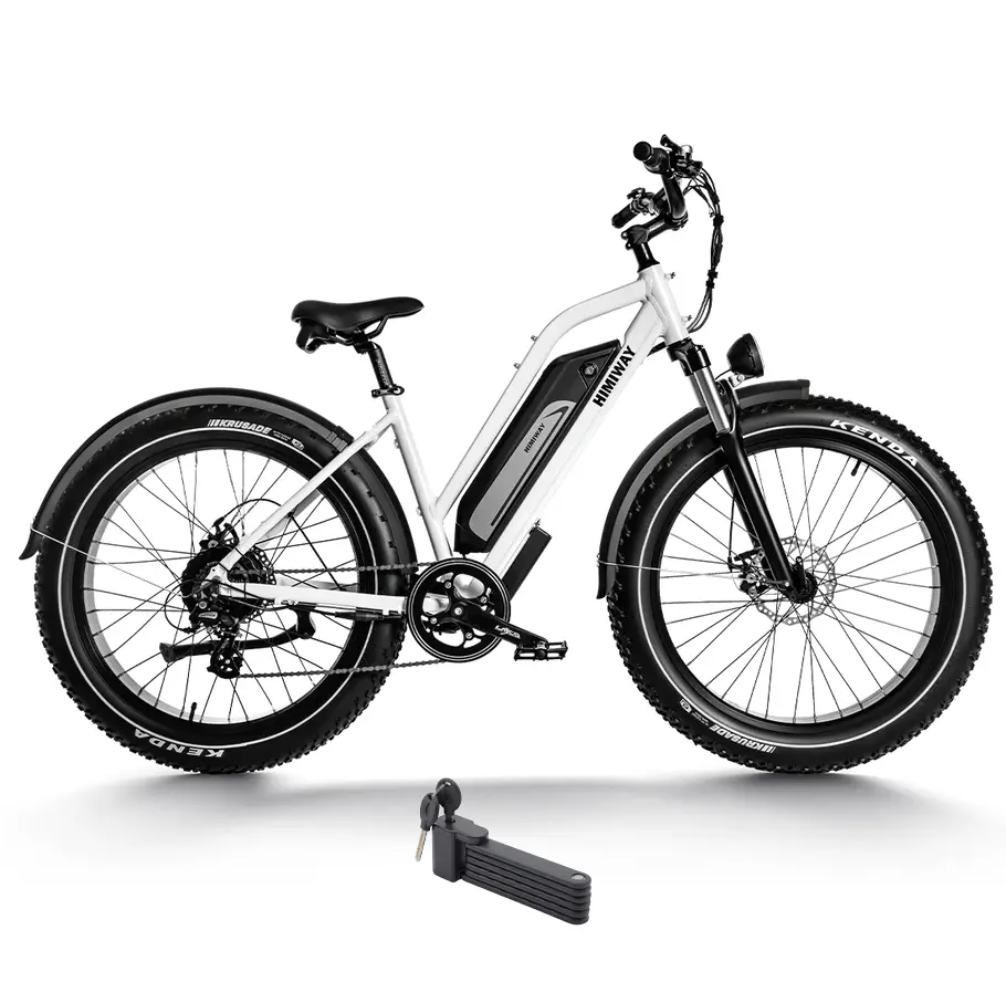 Himiway 750W D3 Cruiser Step-Thru Long Range All Terrain Electric Bike 1