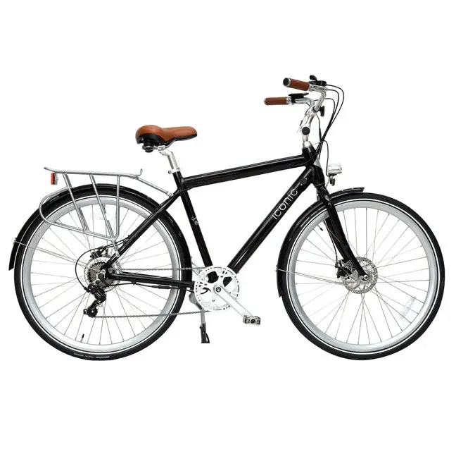 Iconic E-Bikes 350W 36V Ultralight Step Over Electric Bike 1
