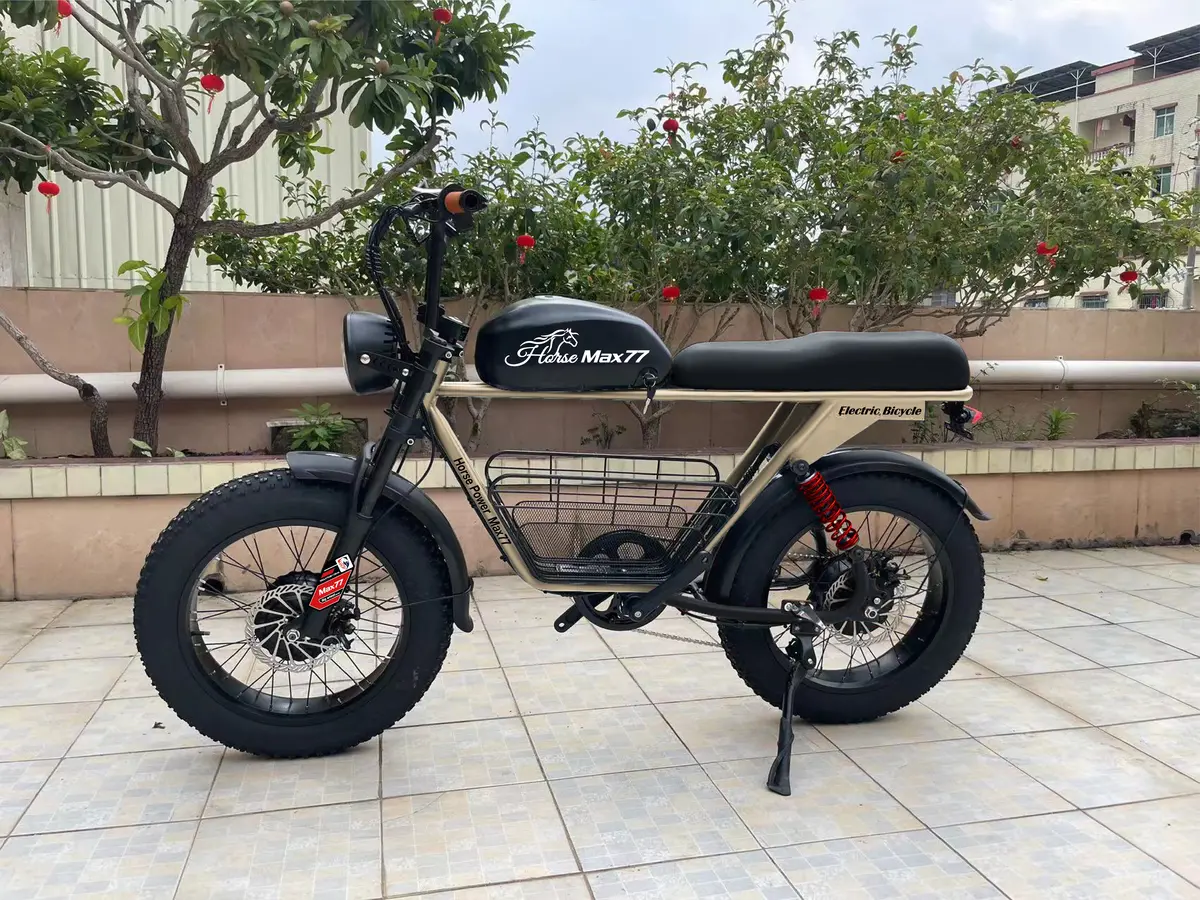 Olic 750W 48V Horse Power Max-77 Fat Tire Electric Bike 3