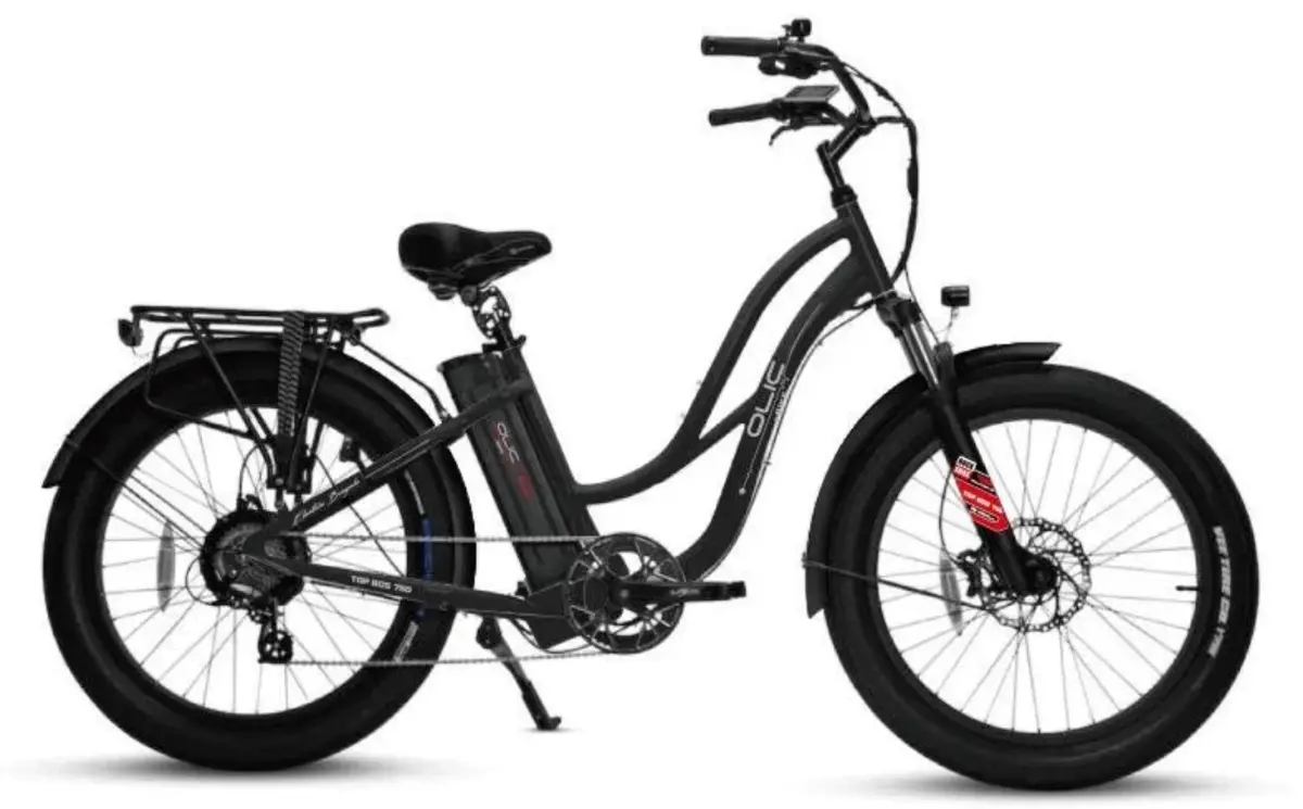 Olic 750W Top Bcs 750 Step-Thru Electric Bike 1