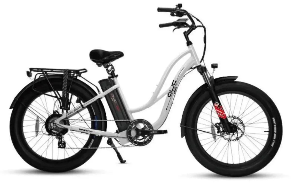 Olic 750W Top Bcs 750 Step-Thru Electric Bike 3