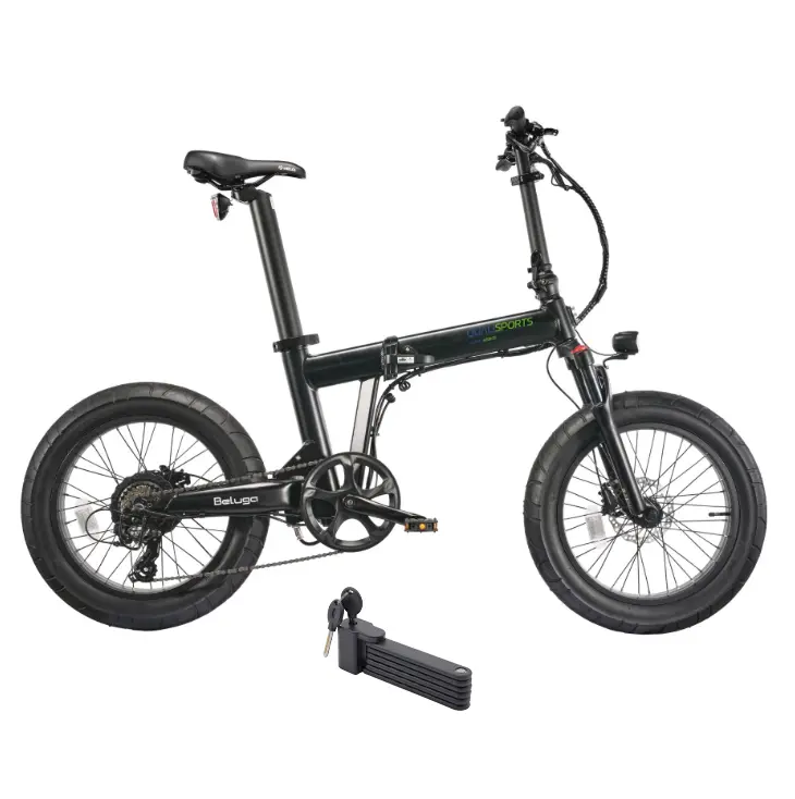 Qualisport 500W 48V Beluga Plus Foldable Fat Tire Electric Bike 1