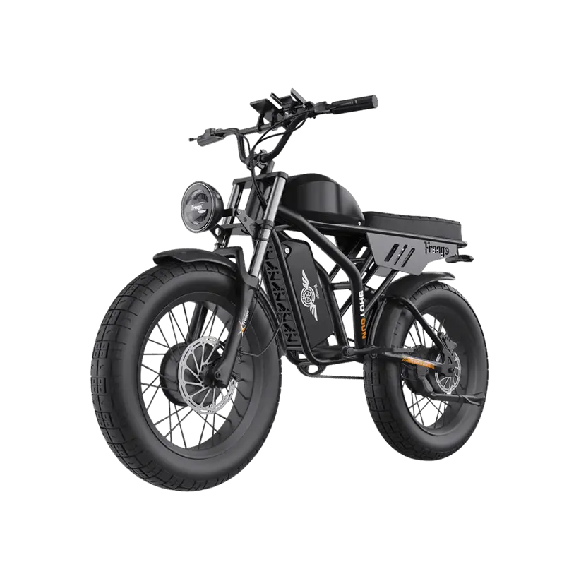Freego 1000W Flash F3 Pro Max Dual Motor And Battery Electric Bike 1