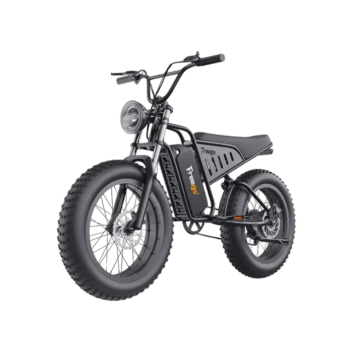 Freego 750W S1 Cafe Racer Electric Bike 1
