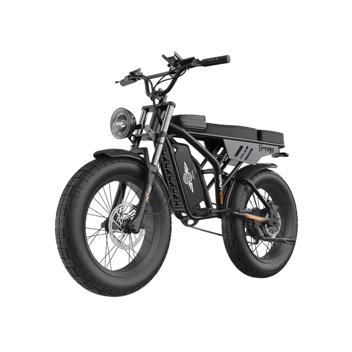 Freego 750W Shotgun Prime F2 Pro Cargo Electric Bike 1