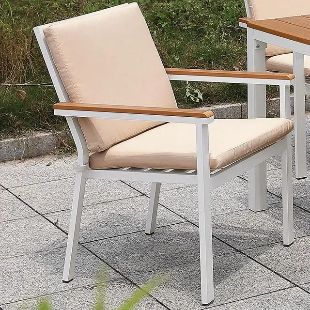 Aisha Chair (2/Ctn) 1