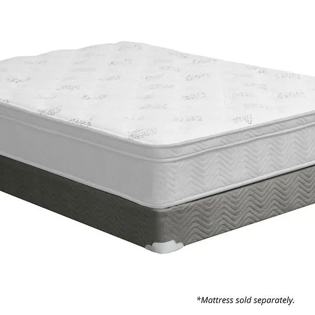 Aleksa Grey Foundation, Queen 1