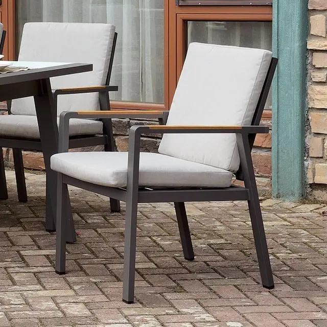 Alycia Arm Chair W/ Cushion 1