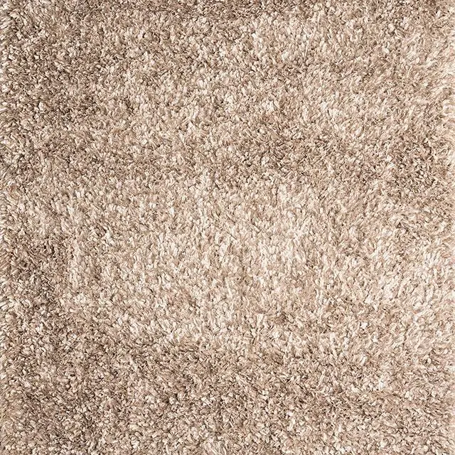 Annmarie Beige 5' X 8' Area Rug 1